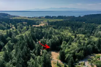 5+acre sunny private lot in the Maxwelton Valley close to one of Whidbey's favorite beaches, Maxwelton Beach. Water available, expired 3BR septic design & electricity at the street. Please drive slowly up Dandelion Lane.