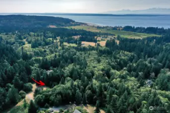 Invest in Whidbey, invest in your dreams. This acreage is the perfect location for creating your island homestead. And, please remember to drive slowly on Dandelion Lane :)