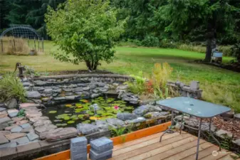 special water feature right off the new deck