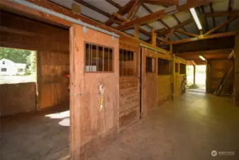 Three matted stalls