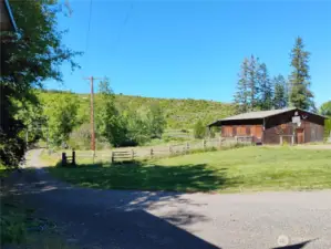 Very Well built Barn with stalls to outside runs