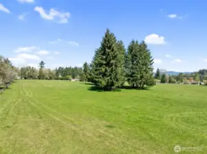 fenced fields makes great hay