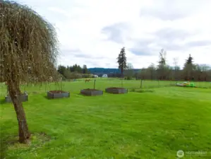 Raised garden beds with bee boxes