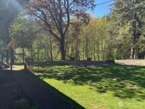 side yard