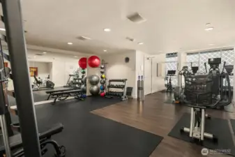 Spacious light-filled fitness room