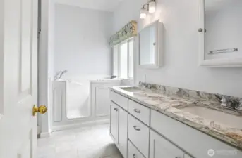 Master bedroom suite with vaulted ceilings, walk in closet and remodeled 5 piece bathroom with a walk in jetted bathtub.
