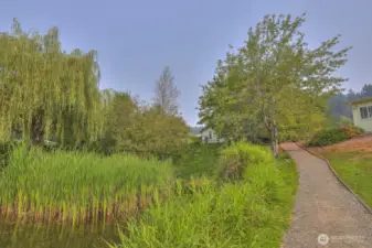 Wandering Creek community common area: Trail, greenbelt, pond & creek just down the street from the house, takes you to the lake & clubhouse.