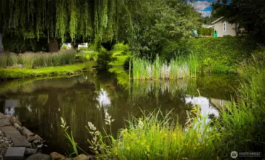 Wandering Creek community common area: Trail, greenbelt, pond & creek just down the street from the house, takes you to the lake & clubhouse.