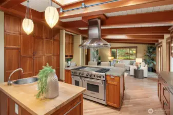 Top of the line stainless steel appliances