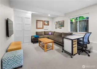 A room on the lower level offers flexible use, with a wall-mounted TV location, a gallery wall, and a window providing natural light. Two panel doors provide closet or storage access.