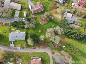 View from Maple Street