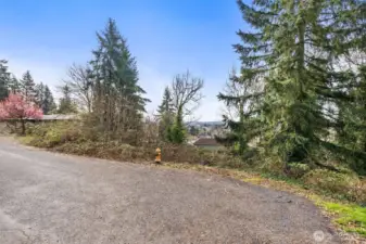 Entrance off of Maple