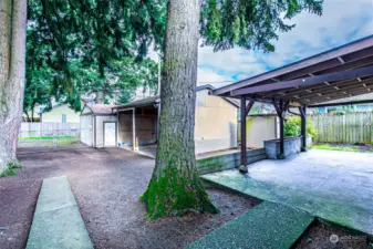 Rear yard with covered patio, large carport & shop.