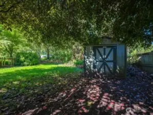 Backyard.