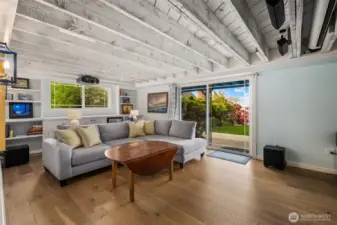Lower Level Theater/Bonus Room~