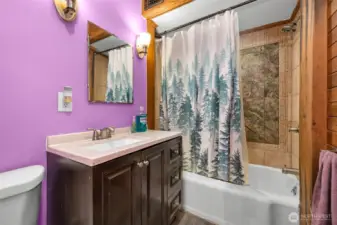 downstairs north full bathroom