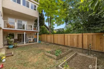Main House Back Yard
