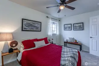 Large enough for king bed