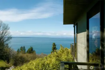 Water and greenery from every angle