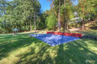 large sunny lawn for entertaining and pickleball!