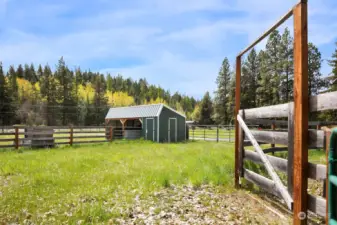 Beautiful pasture area, fully fenced and cross fenced with 50' wooden round pen and 8x20 2 stall shed with storage room for hay or tack