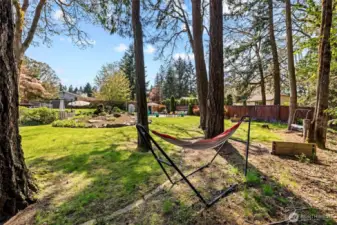 Plenty of yard space for lounging or for playing.
