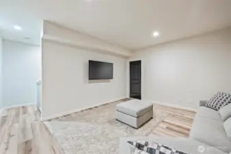 Lower Level Living Room