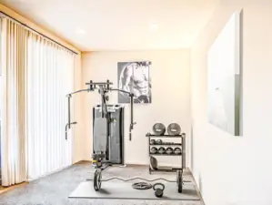 Lower level bedroom or workout room.