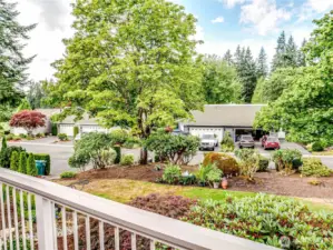 Backyard view from deck