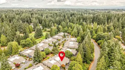 Fairview Village surrounded by trees!