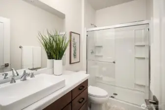 Lower level bathroom