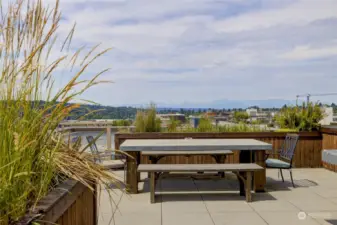 Roof top deck