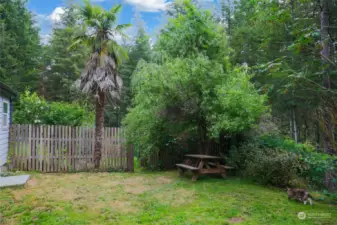 Your own palm tree