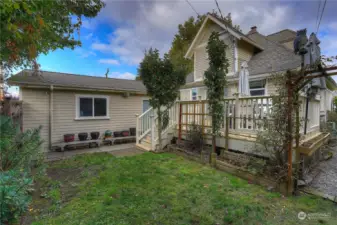 Nice fenced backyard with fruit trees