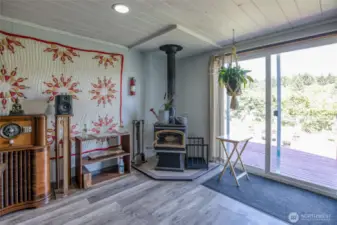 Lower Level Living Space Wood Burning Fireplace