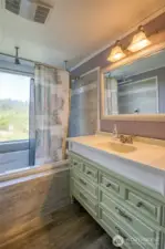 Lower Level Bathroom