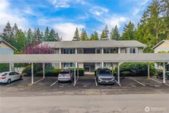 Designated parking spot #46