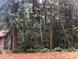 5 Shetland Court from above - off of Shetland Ct. - across from new construction.