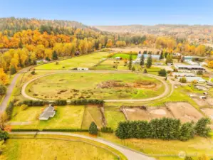 Grass grows well on this property. 2nd pasture was seeded by previous boarder.