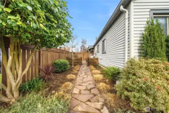 Path to front garden