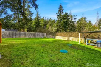 Additional backyard angle emphasizing usable outdoor space.