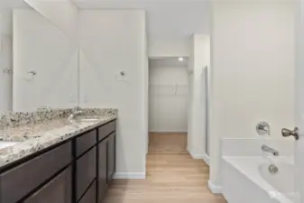There are dual sinks, large soaking tub, great shower closet and the toilet closet for privacy then the walk in closet that wraps around on either side of the entry.