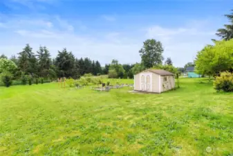 A look at the backyard with garden shed, garden area and grapevines. Options galore!