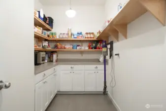 Check out this huge walk-in pantry next to the kitchen!