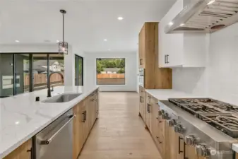 Kitchen with a massive island & KitchenAid Professional Series stainless steel appliances, including a 36" 6-burner gas cooktop. Look out to your big backyard. Hydroseeding being done 8/20.