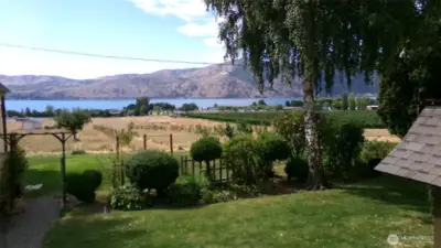 Backyard View