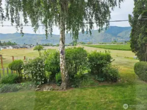 View from the house