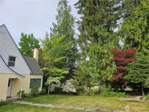 Front in Spring