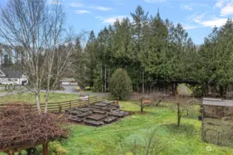 Raised garden beds and fruit trees