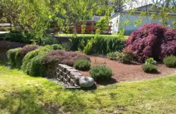 Owners personal photo of yard in the summer